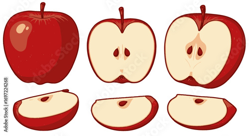 Red apple vector illustration: whole fruit, cross-sections, and slices, perfect for healthy food branding, websites, and app design projects needing a fresh, crisp visual element.