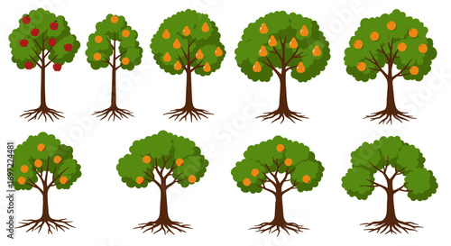A collection of vibrant, illustrated apple trees in various stages of growth, presented as a vector graphic with transparent background, perfect for design projects and educational materials.