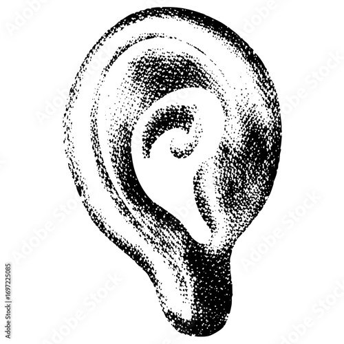 Vector Detailed of a human ear in dotted style.