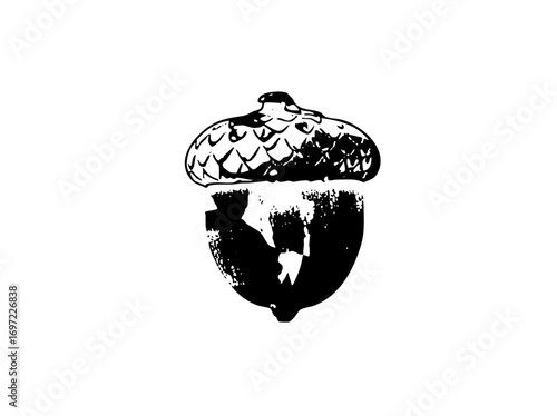 Vector Detailed black and white of an acorn with textured cap.