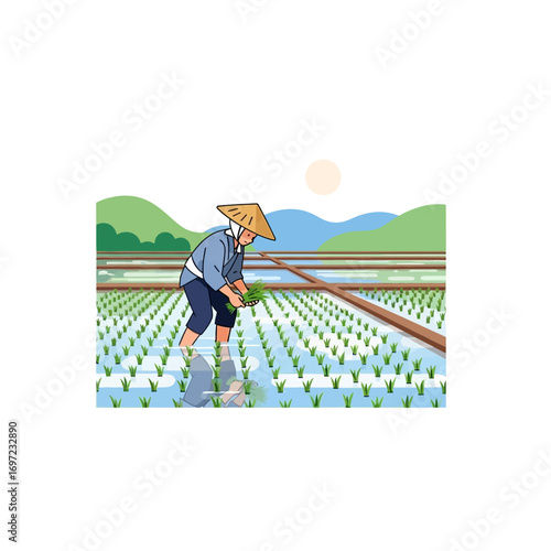 A farmer in traditional attire carefully planting rice seedlings in a flooded paddy field.