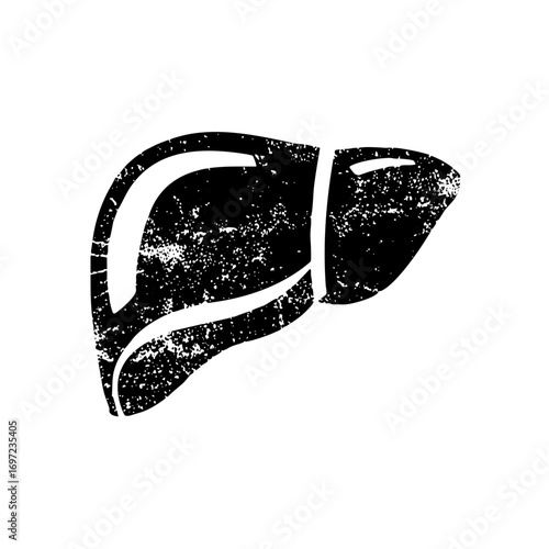 Vector Distressed of a human liver anatomy.