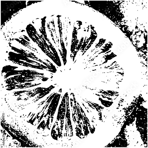 Vector Citrus slice features radial segments and textured details.