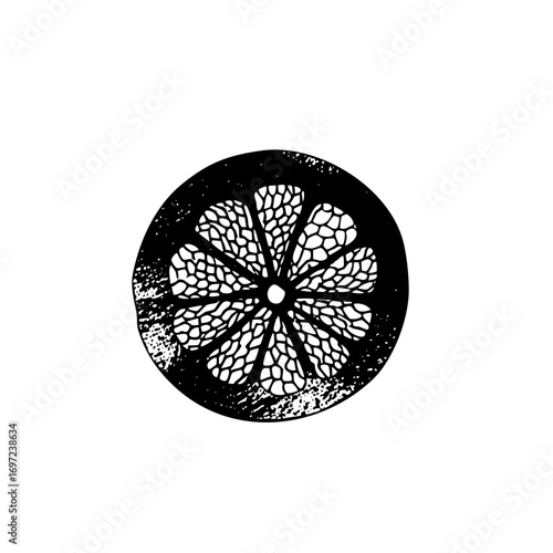 Vector Detailed citrus slice with segmented pulp.