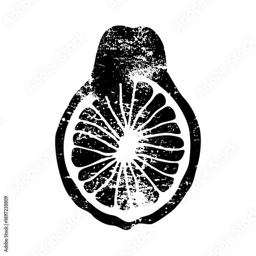 Vector Detailed citrus slice with textured edges.