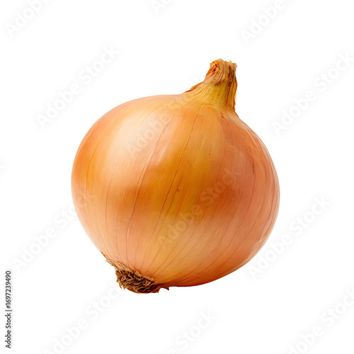 Wallpaper Mural Single yellow onion isolated on black Torontodigital.ca