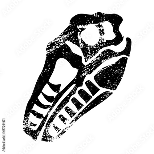 Vector Detailed dinosaur skull with sharp teeth.