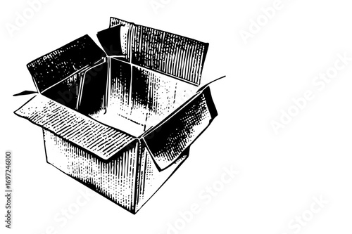 Vector Detailed of an open cardboard box.