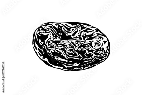 Vector Detailed of a textured plum fruit.
