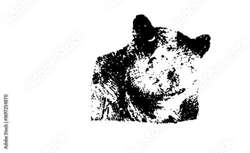 Vector Abstract bear head in monochrome style.