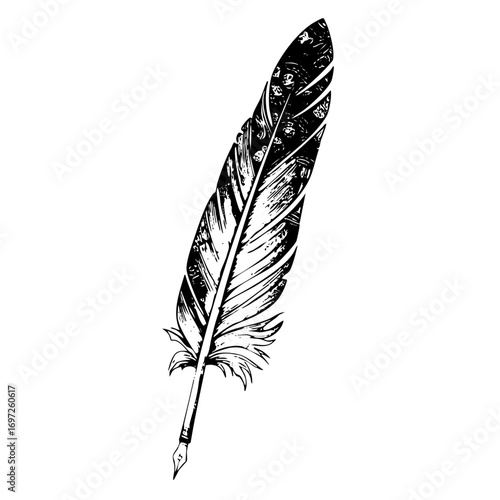 Vector Detailed of a quill pen with feather detailing.