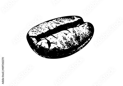 Vector Detailed of a coffee bean with textured surface.