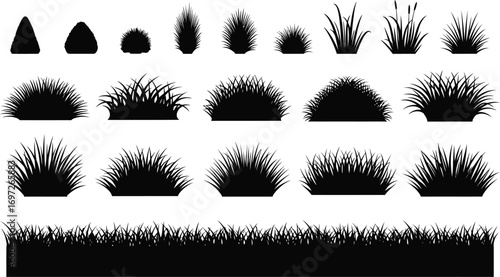 Collection of diverse grass silhouettes, perfect for landscape design and nature graphics.