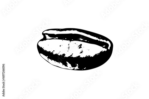 Vector Detailed of a cracked cowrie .