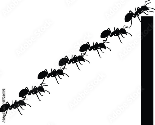 Teamwork and perseverance as ants march upwards in a determined line