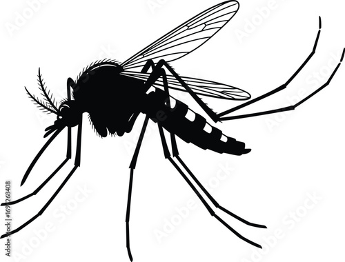 Detailed silhouette of a mosquito with delicate wings and long legs, isolated on a clean white background.