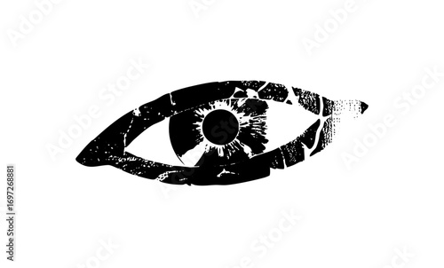 Vector Abstract black eye with fragmented details.