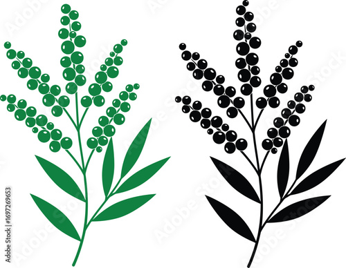 Elegant green and black botanical sprigs with berries, symbolizing nature and simplicity