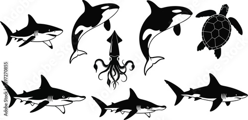Collection of marine animals including sharks, killer whales, a squid, and a turtle, in a graphic style.