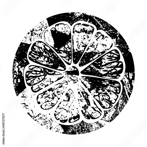 Vector Detailed citrus slice with segmented pulp.