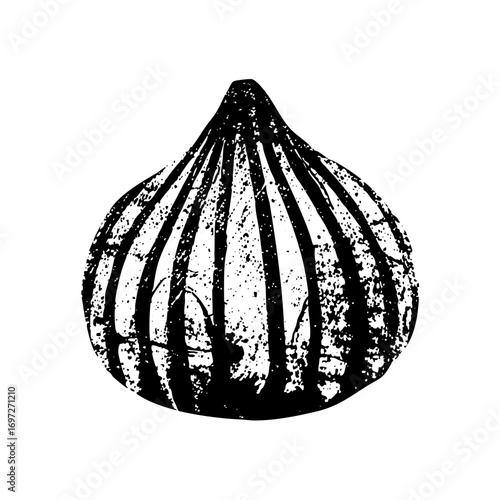 Vector Detailed of a segmented seashell with a rustic texture.