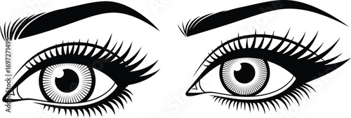 Stylized illustration of expressive, wide-open eyes with dramatic lashes and defined brows.