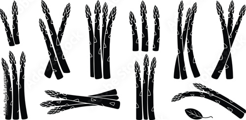Asparagus silhouette vector set, fresh vegetable illustration, black food clipart design, organic farm produce, healthy eating, kitchen herb graphic