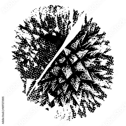 Vector Abstract geometric featuring a textured circle and grid .