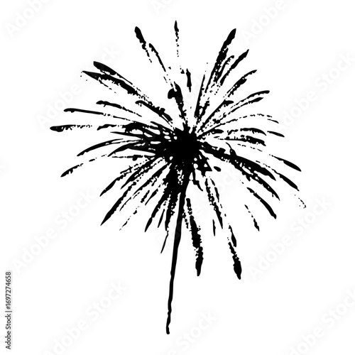 Vector Abstract explosion with radiating lines and a central stem.