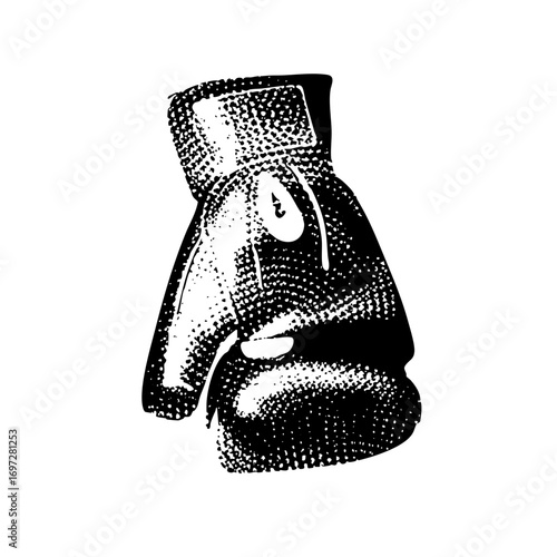 Vector Detailed of a vintage boxing glove.