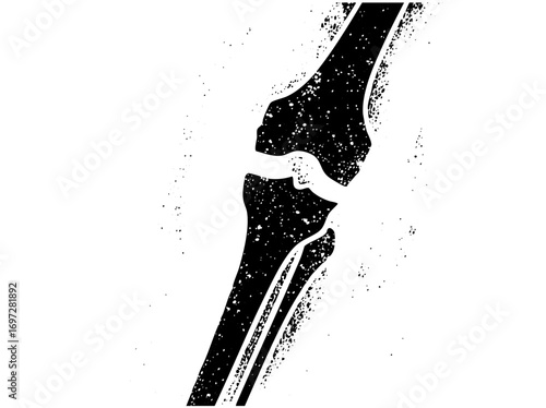 Vector Black silhouette of a human knee joint .