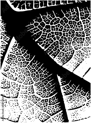 Vector Detailed elephant skin texture showcases intricate .