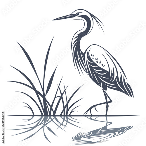 Abstract Heron Reflection in Water