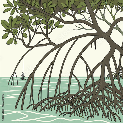 Abstract Mangrove Roots in Shallow Water