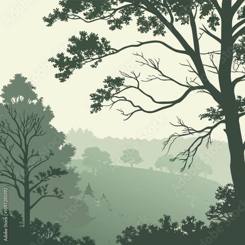 Abstract Morning Mist over Forest Canopy