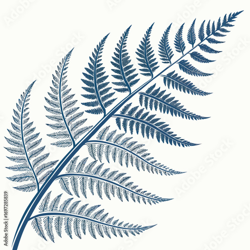 Geometric Frost Pattern of Fern Fronds