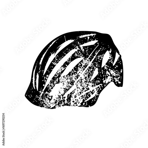 Vector Detailed of a textured seashell with radiating lines.