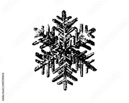 Vector Intricate snowflake with detailed crystalline structure.