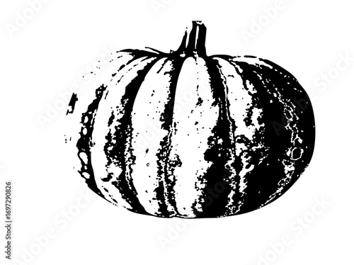 Vector Striking black and white of a ribbed pumpkin.