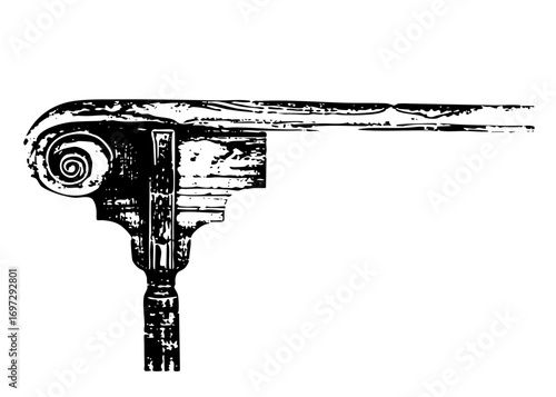 Vector Ornate Ionic capital features a spiral volute.