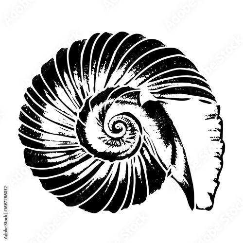 Vector Detailed nautilus in monochrome style.