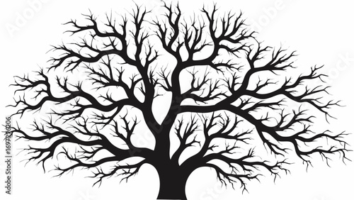 Striking black silhouette of a sprawling, bare tree with intricate branches reaching outward