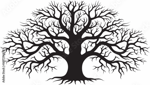 Striking silhouette of a bare tree with intricate branches, symbolizing growth and nature's resilience.