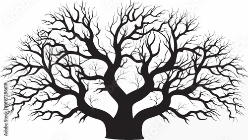 Striking silhouette of a grand ancient tree with intricate bare branches reaching outwards