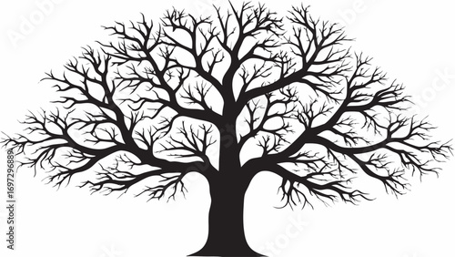 Striking silhouette of a bare tree with intricate branches, evoking seasons and growth