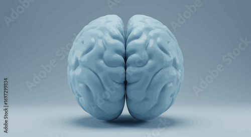 Detailed Blue Human Brain Model Rendering for Medical or Educational Purposes