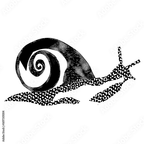 Vector Detailed snail features a patterned and body.