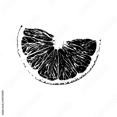Vector Detailed of a citrus fruit slice.