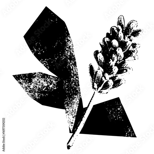 Vector Botanical of a pine cone and needles in a style.