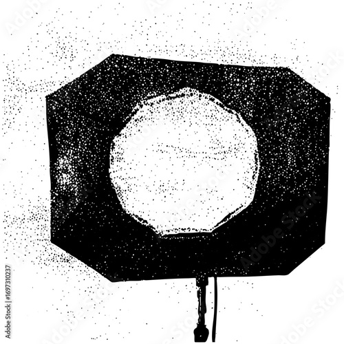 Vector Studio flash with octagonal softbox .